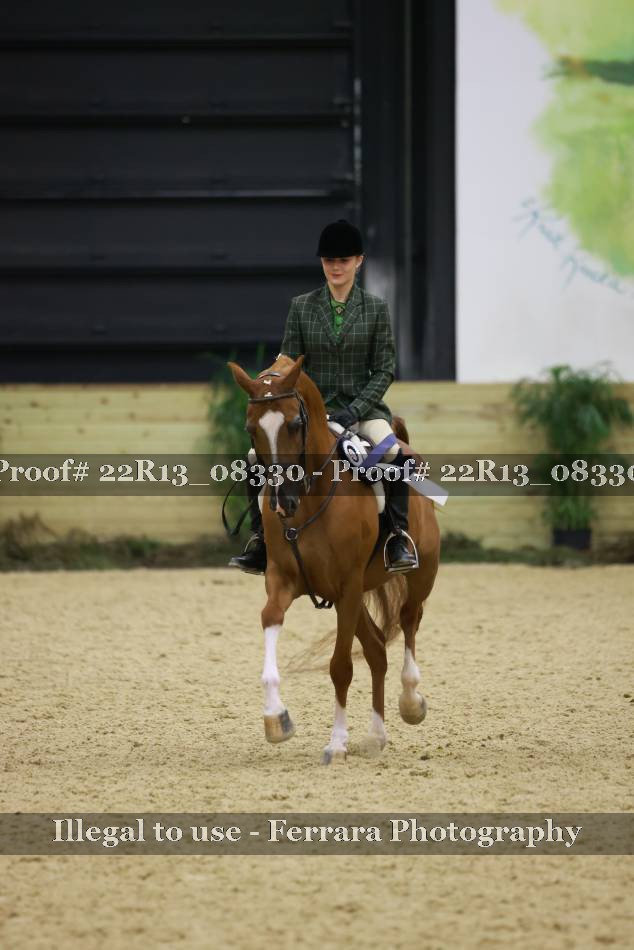 Proof 22R13_08330