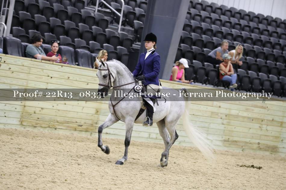 Proof 22R13_08331