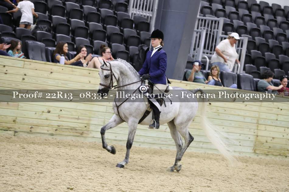 Proof 22R13_08332