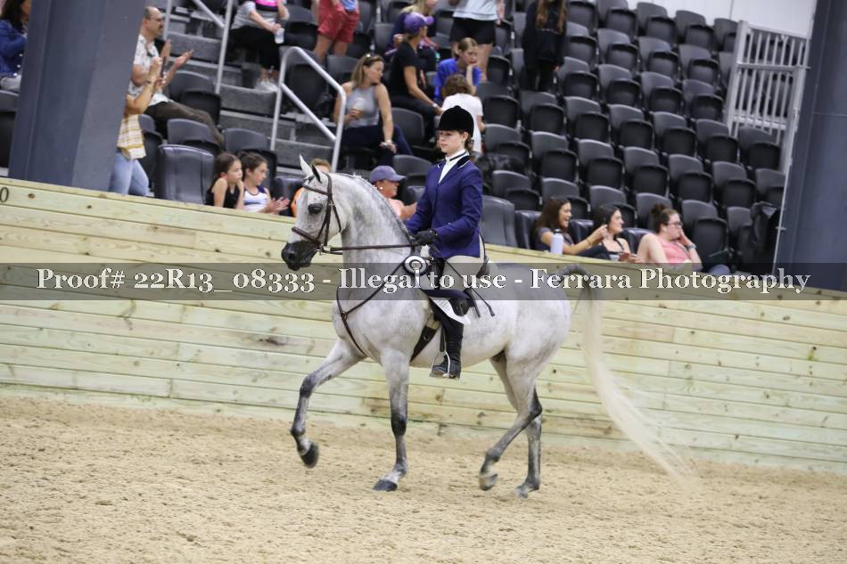 Proof 22R13_08333