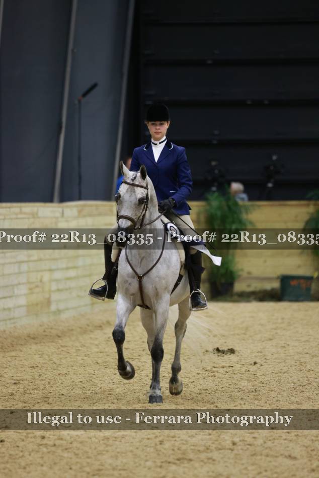 Proof 22R13_08335
