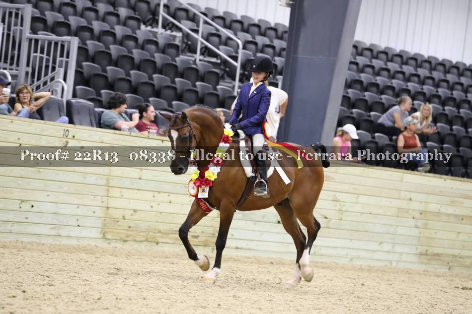 Proof 22R13_08338
