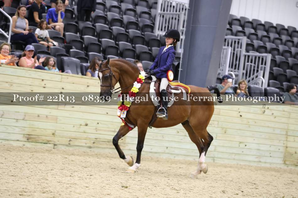 Proof 22R13_08339
