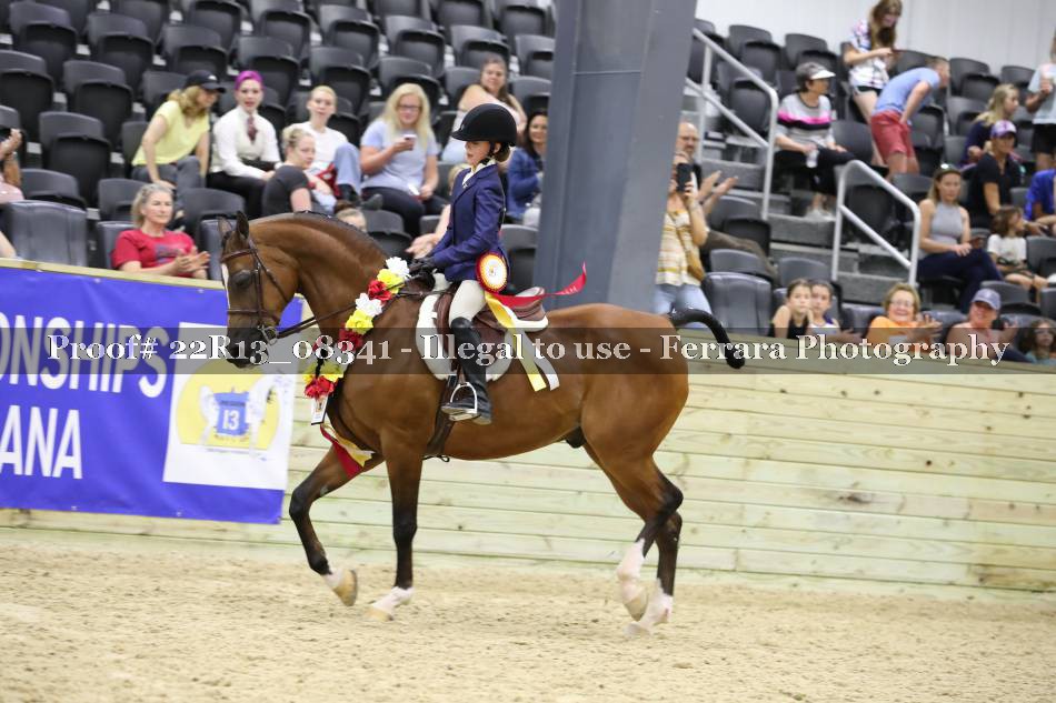 Proof 22R13_08341