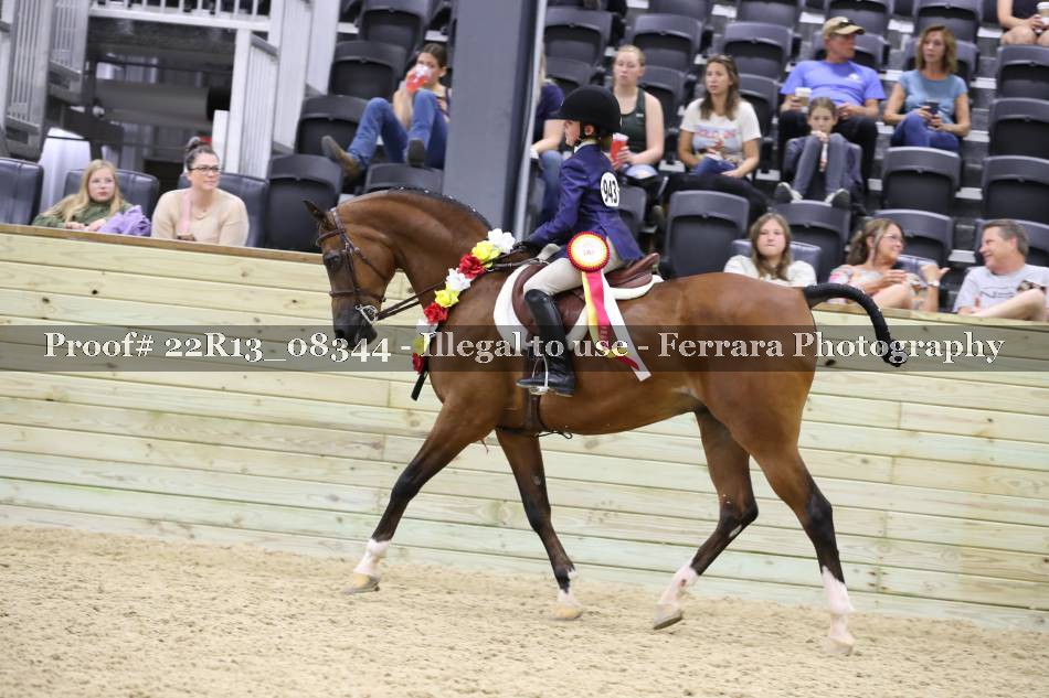 Proof 22R13_08344