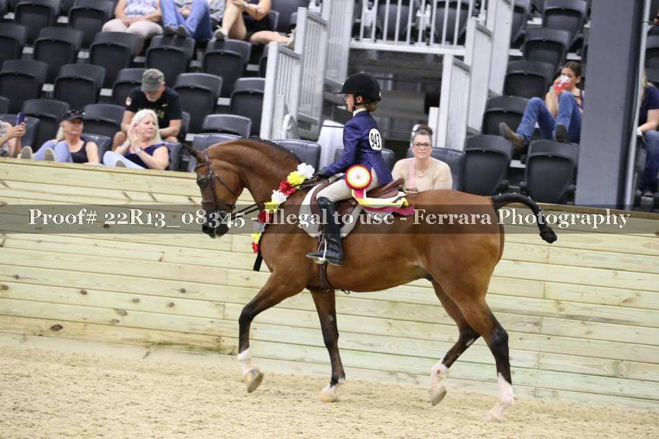 Proof 22R13_08345