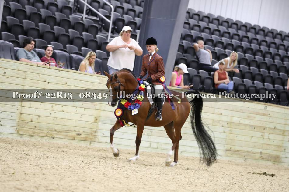 Proof 22R13_08349
