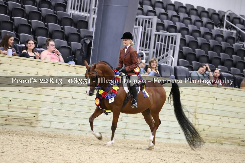Proof 22R13_08351