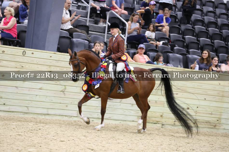 Proof 22R13_08352