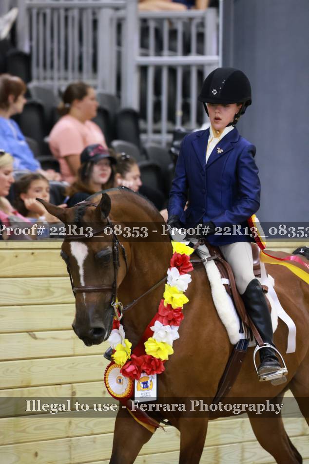 Proof 22R13_08353