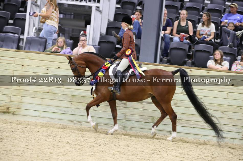 Proof 22R13_08357