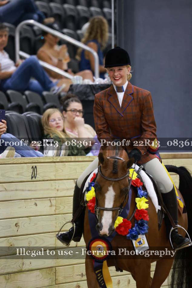 Proof 22R13_08361