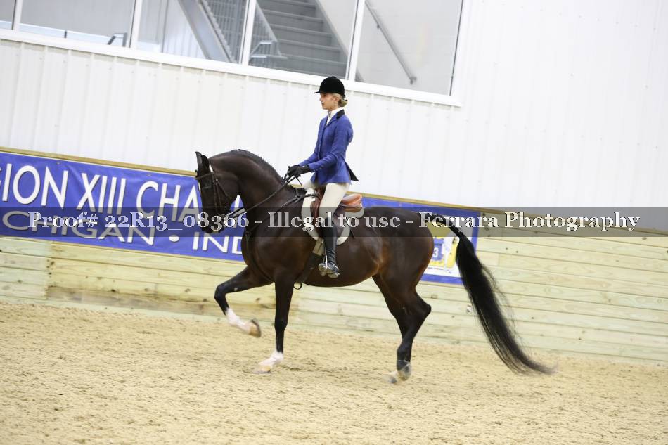 Proof 22R13_08366