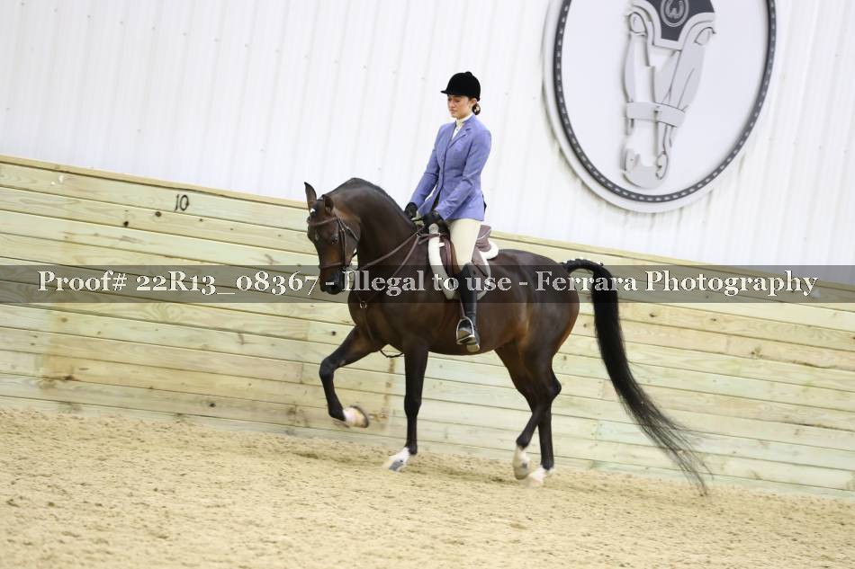 Proof 22R13_08367