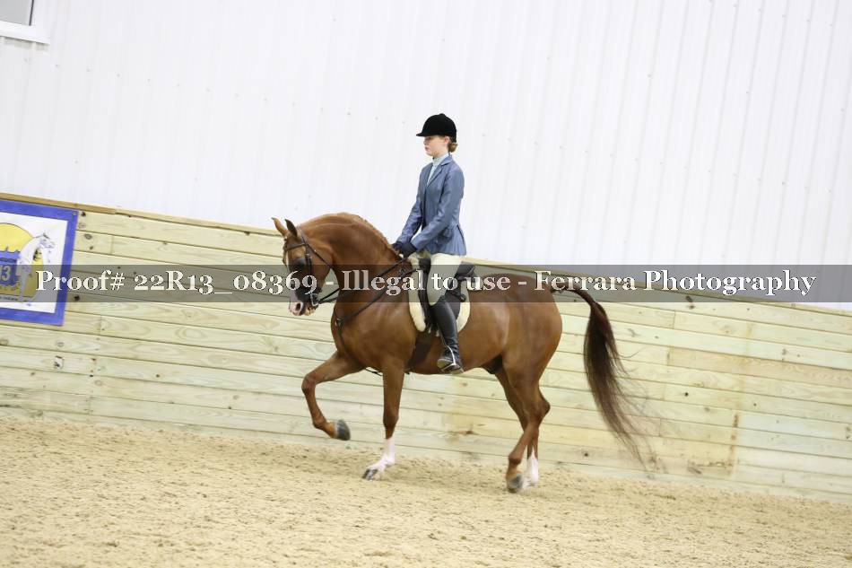 Proof 22R13_08369