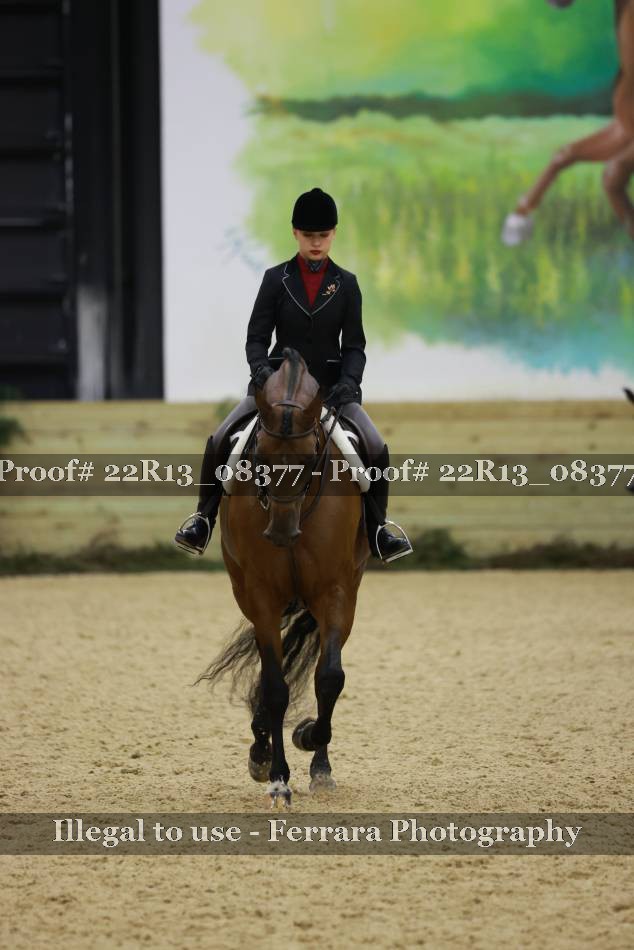 Proof 22R13_08377