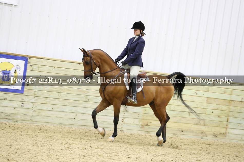 Proof 22R13_08378