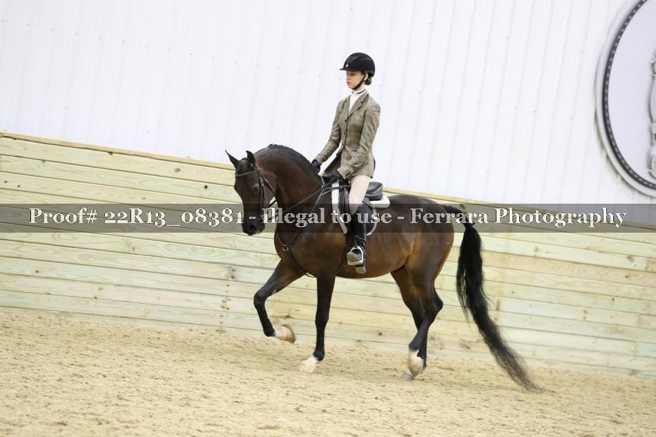 Proof 22R13_08381