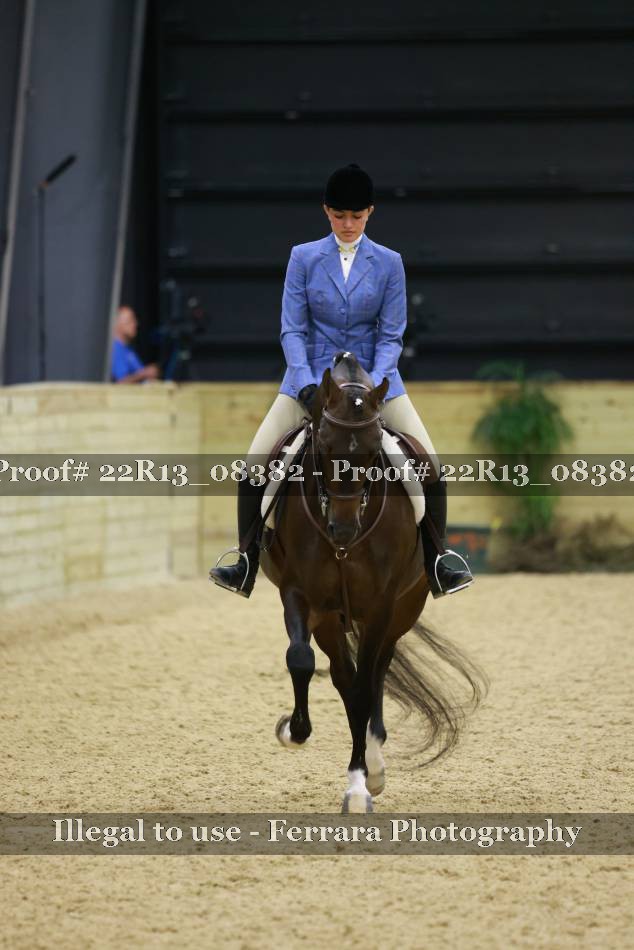 Proof 22R13_08382