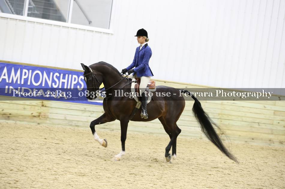 Proof 22R13_08385