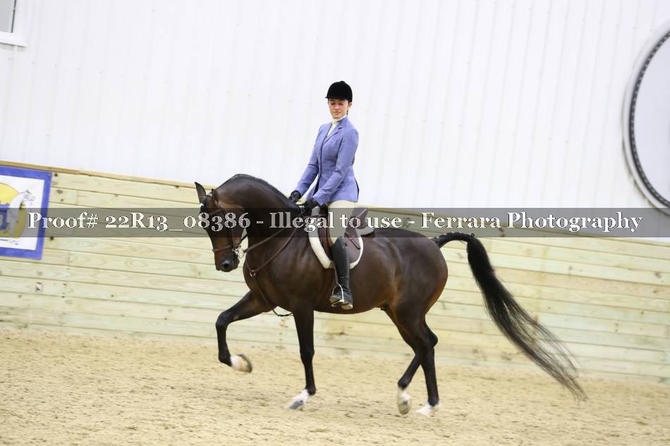 Proof 22R13_08386