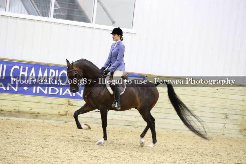 Proof 22R13_08387