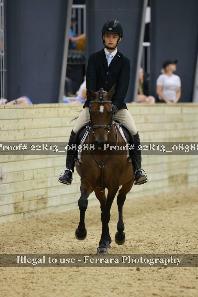 Proof 22R13_08388