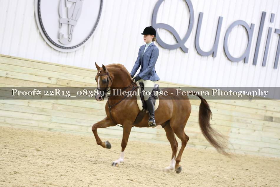 Proof 22R13_08389