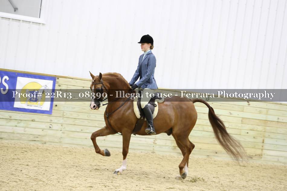 Proof 22R13_08390
