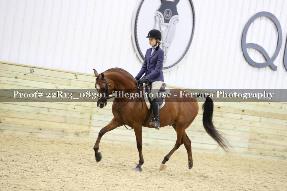 Proof 22R13_08391