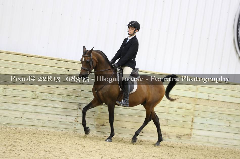 Proof 22R13_08395