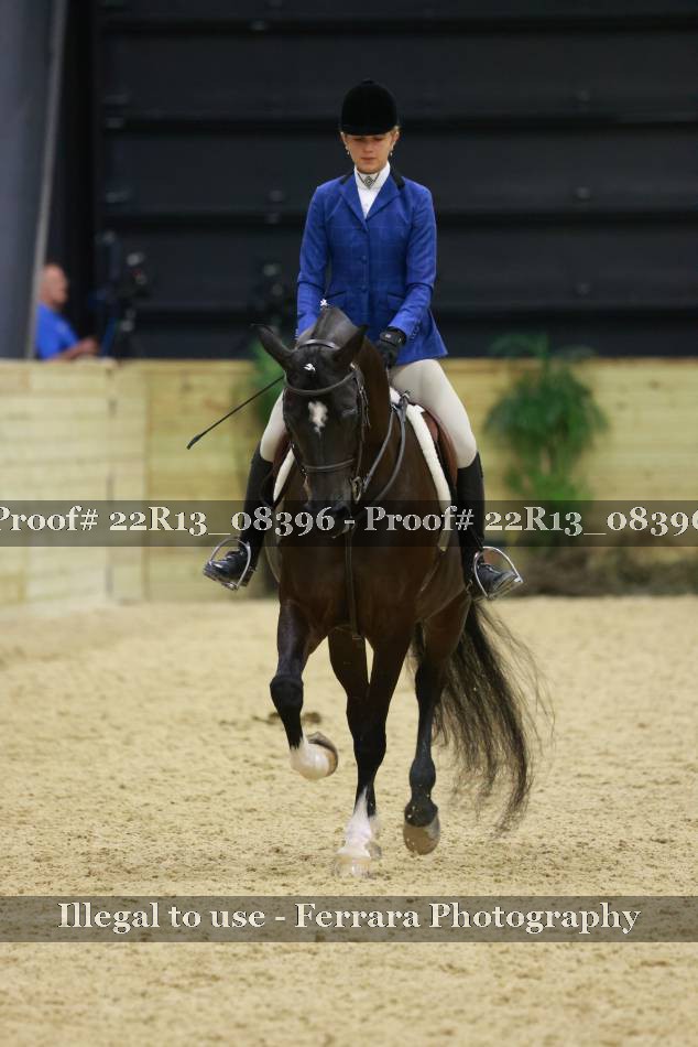 Proof 22R13_08396