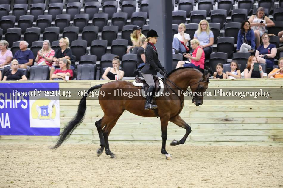 Proof 22R13_08399