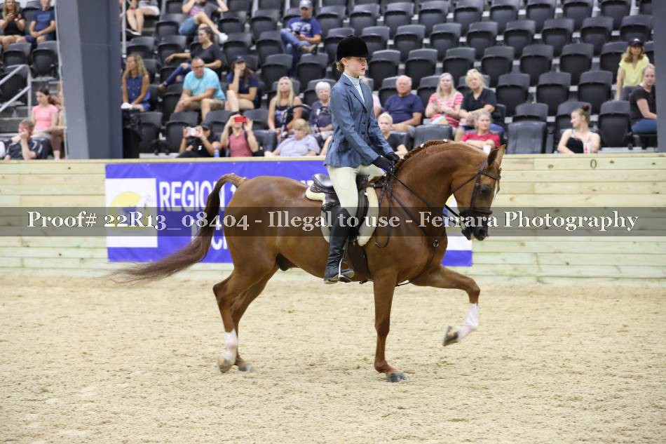 Proof 22R13_08404