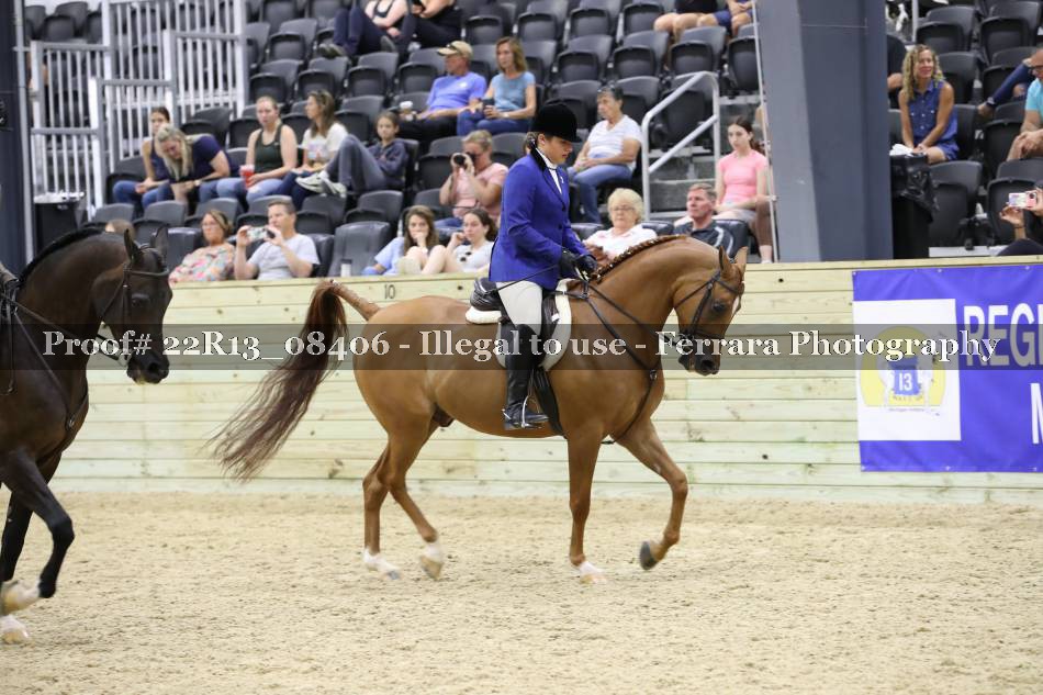 Proof 22R13_08406