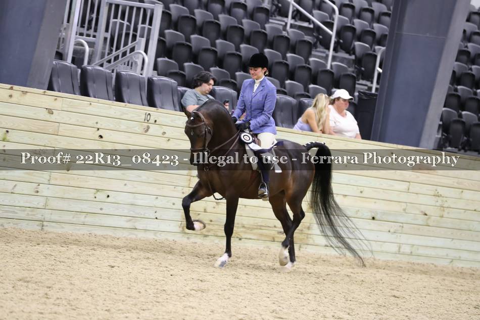 Proof 22R13_08423