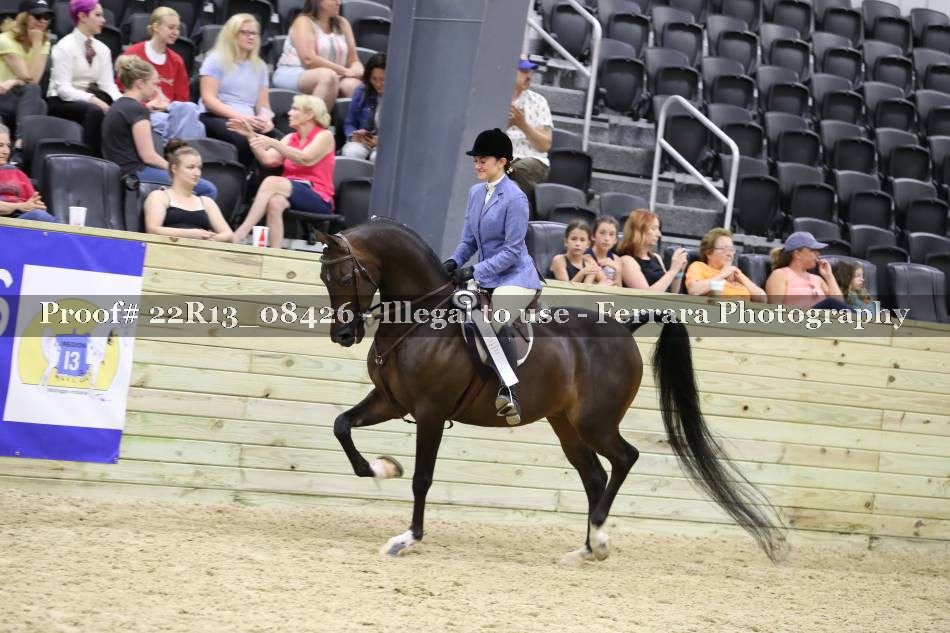 Proof 22R13_08426