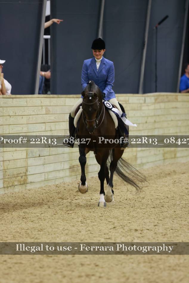 Proof 22R13_08427
