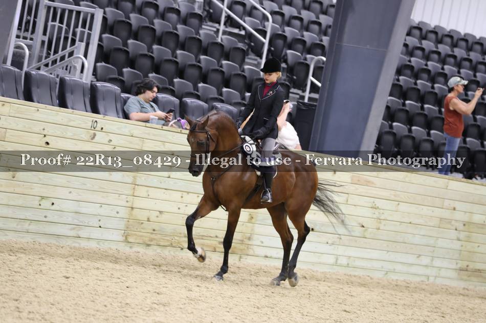 Proof 22R13_08429