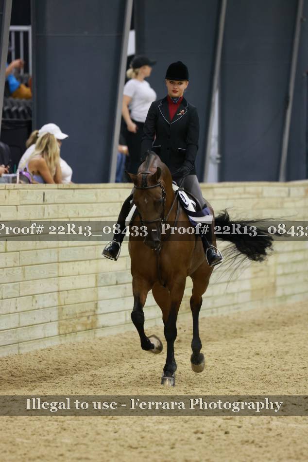 Proof 22R13_08433