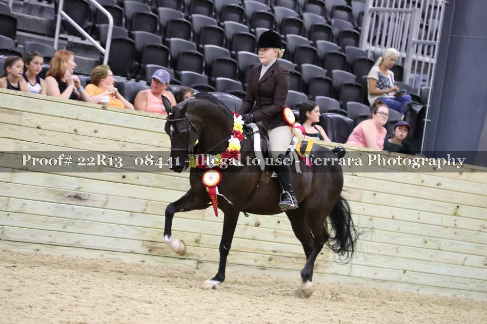 Proof 22R13_08441