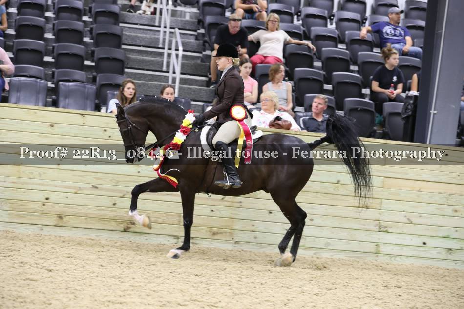 Proof 22R13_08446
