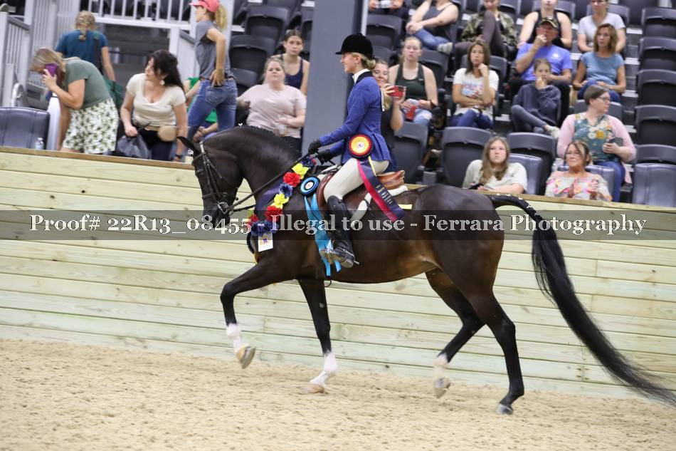 Proof 22R13_08455