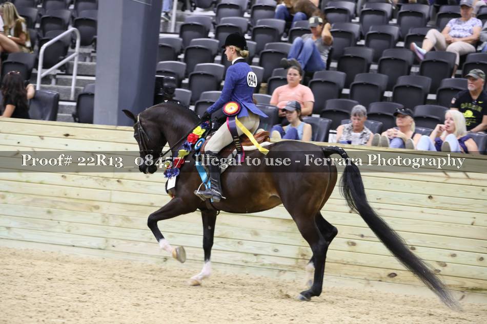 Proof 22R13_08457