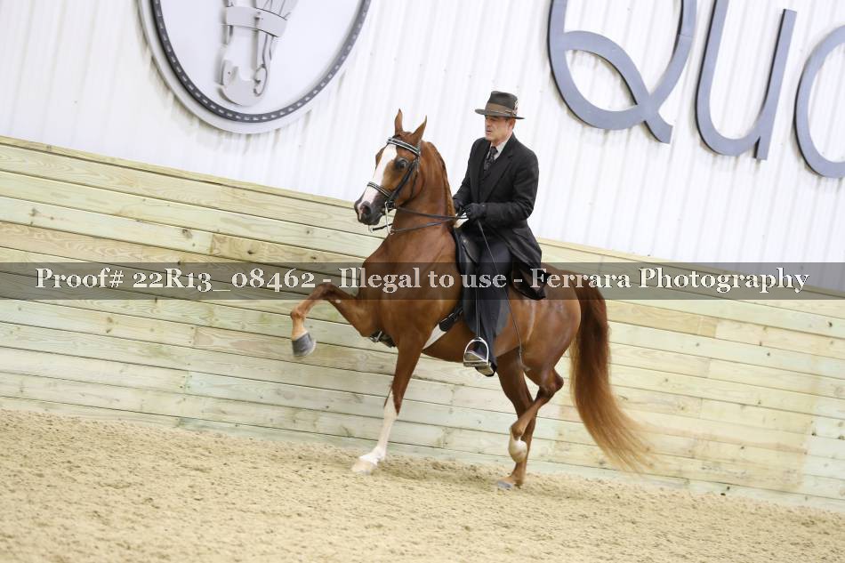 Proof 22R13_08462