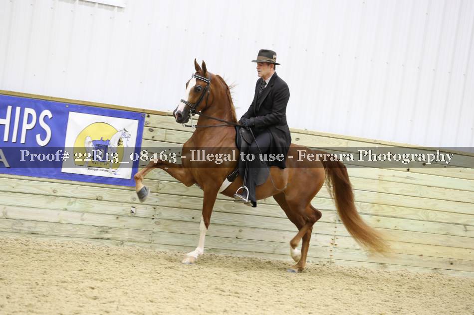 Proof 22R13_08463