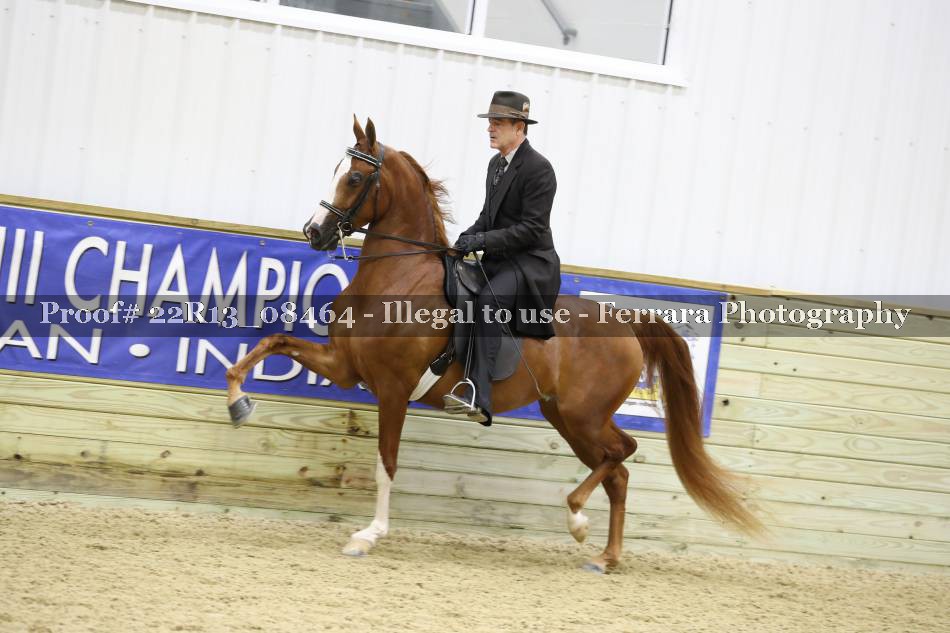 Proof 22R13_08464