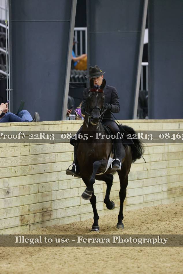 Proof 22R13_08465