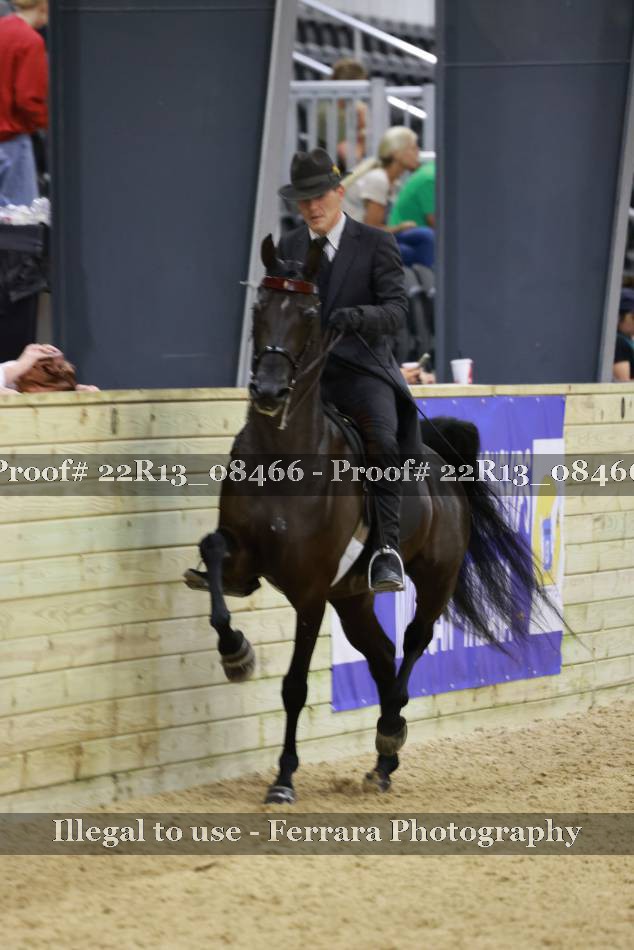 Proof 22R13_08466