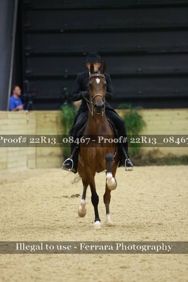 Proof 22R13_08467